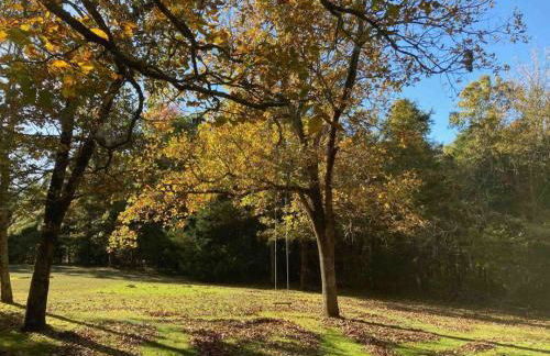 Sunrise Mountain Retreat-Summer Getaway in Jasper with a Hot Tub - Foto 10