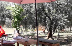 Green Olive Studios 2 - Foto 46