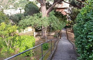 L' eden di Erasmo - Foto 53