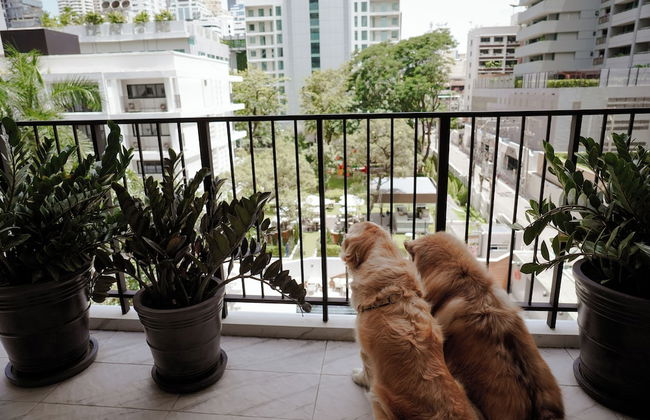 Floral Court Hotel & Residence Sukhumvit 13 - Foto 53