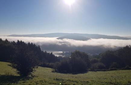 Sonnenschein am Rursee - Foto 31
