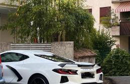 Garden Suite - Foto 13