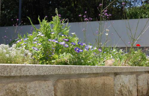 Serralves 1108 - Estúdio 1 - Foto 21