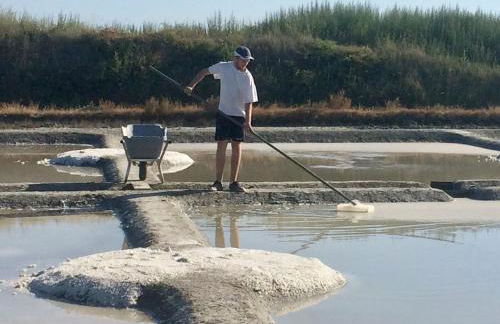 Fleur de Sel, longère au calme , proche mer et plages - Foto 8