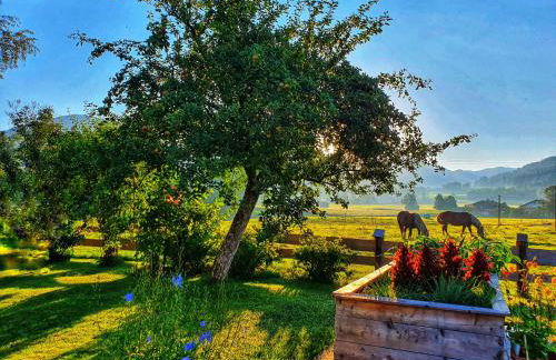 Schneiderhof Ferienwohnung mit Alpenblick - Foto 16