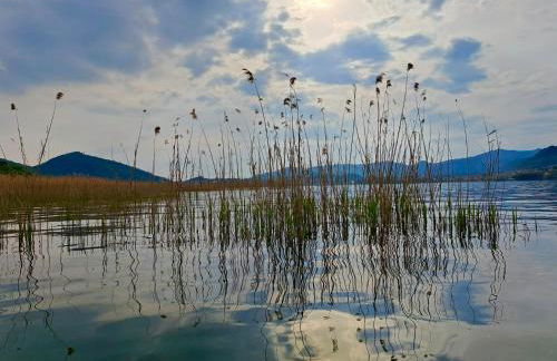 Costa Verde Natura - Foto 52