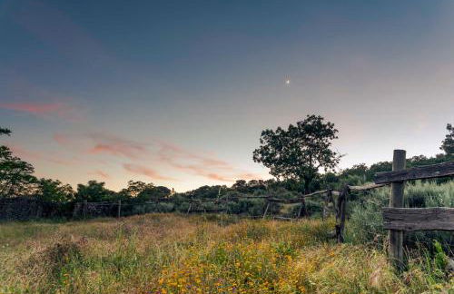 Casa Rural El Cabezo de Sierra de Gata - Foto 21