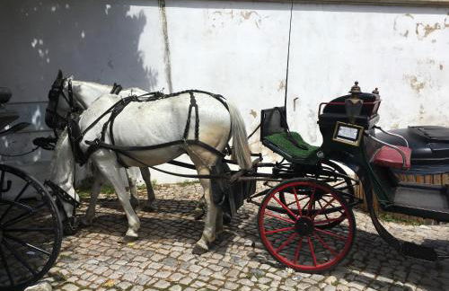 Family house Adraga - Foto 36