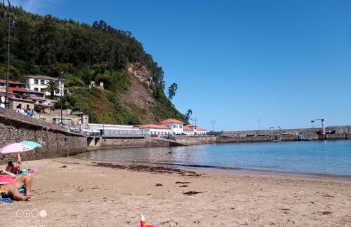 Tazones 79 VUT6993AS - Foto 1