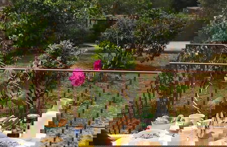 Agroturisme Son Barceló Mas - Foto 37