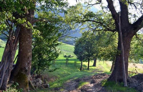 Agriturismo I Fondacci - Foto 50