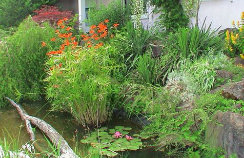 Ferienwohnungen Steinhof-Littmann - Foto 51