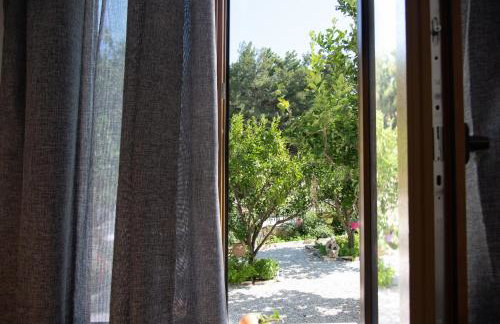 Dreamcatcher of Zeus - Foto 54