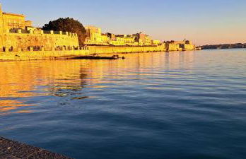 Endless Summer - Photo 40