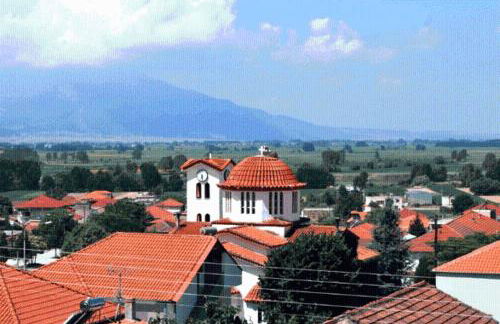 Anestis Studios - Photo 54