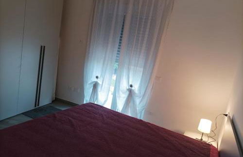 Sun flower blu bay - Photo 5