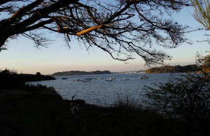 Maison familiale en bord de mer - Foto 50