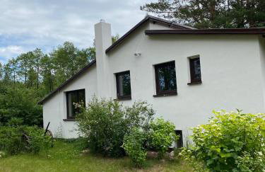 Biały Domek nad Wkrą - Foto 62