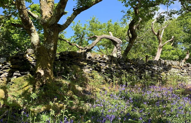 Cottage Dinorwig, get Away From it all - Foto 27