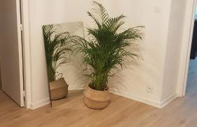 Le Regent City of Design - Foto 21