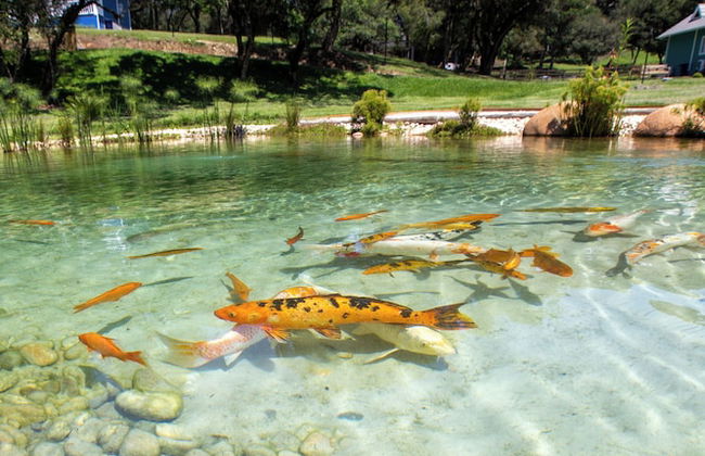 Condado de Urubici - Foto 31