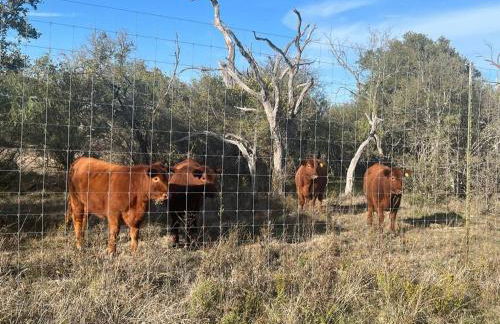 Dome Sweet Dome - Foto 30