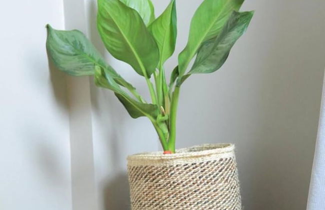 Cozy Condo At Najjera Heights - Foto 1