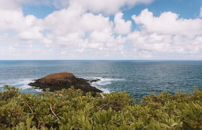 Kauai Plantation Hale Hotel - Foto 103