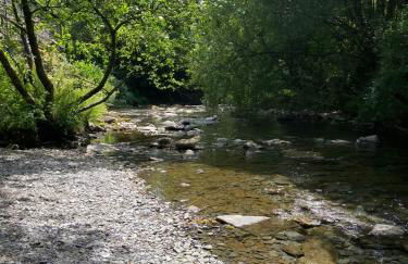Cosy riverside cottage in beautiful Corris - Photo 13