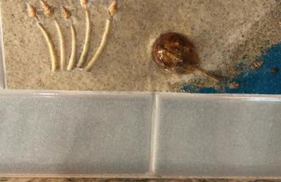 Farmhouse 316 of Milton - Photo 22