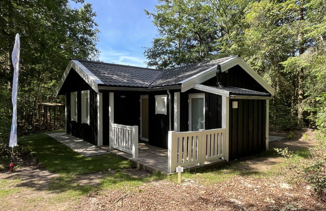 2 bedroom House in Dwingeloo with swimming pool and terrace - Photo 11