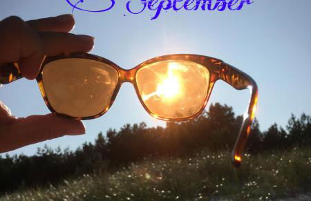 Ferienwohnung mit Terrasse - Insel Usedom - Foto 37