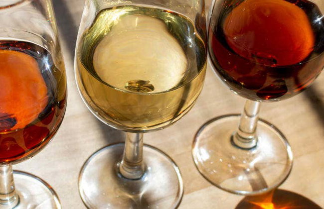 Toro Albala Winery Guided Tour - Photo 1