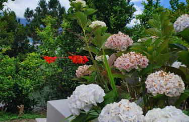 Mountain-Ocean-View Madeira - Foto 20