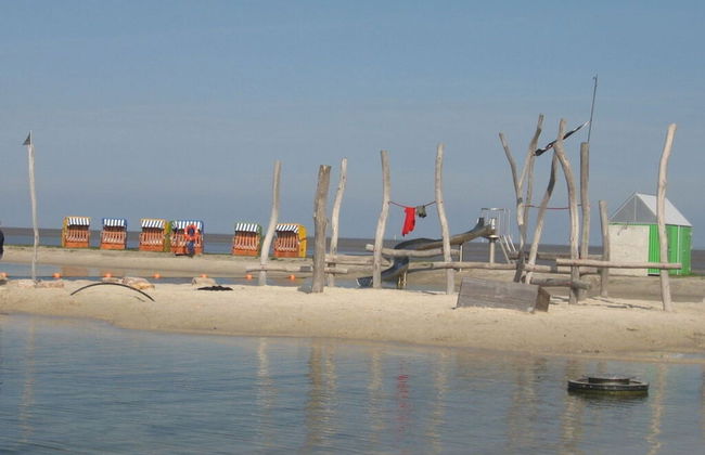 Roof-only House Modern Retreat - Photo 21