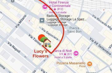 Lucy's Flowers - Photo 77