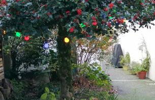 Le grand Houx - Foto 67