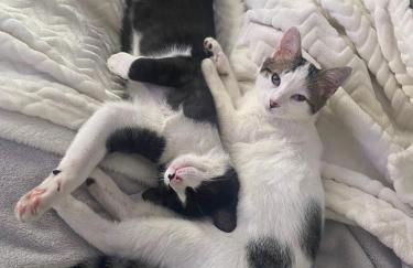 EcoHouse - 12 min to Downtown - Photo 7