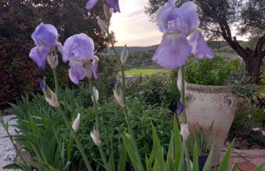 Villa in Agello - Photo 46