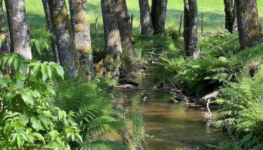 Lac de Vassivière Petite maison à proximité - Foto 5