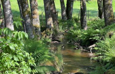 Lac de Vassivière Petite maison à proximité - Foto 5