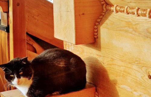 Osada Sudecka - Foto 30