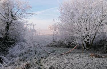 Tinyhouse Zirkuswagen- Kotten Kunterbunt - Foto 21