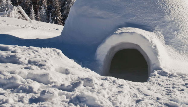 Passeggiata con racchette da neve + Costruzione di un iglù