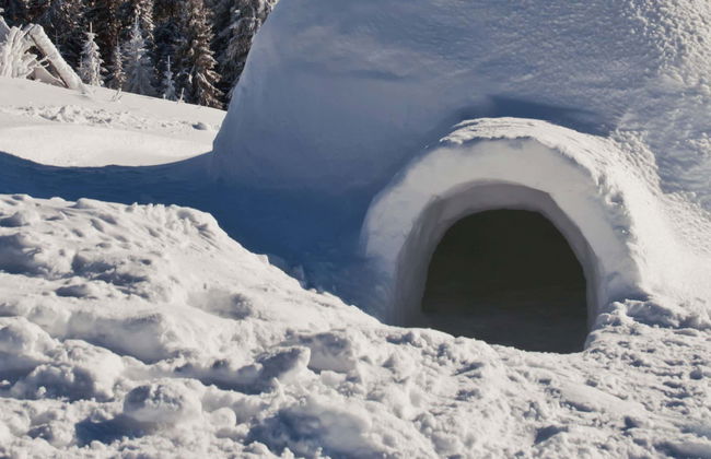 Passeggiata con racchette da neve + Costruzione di un iglù - Foto 5