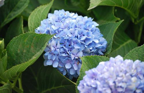 Casa Rural Las Llanadas - Foto 44