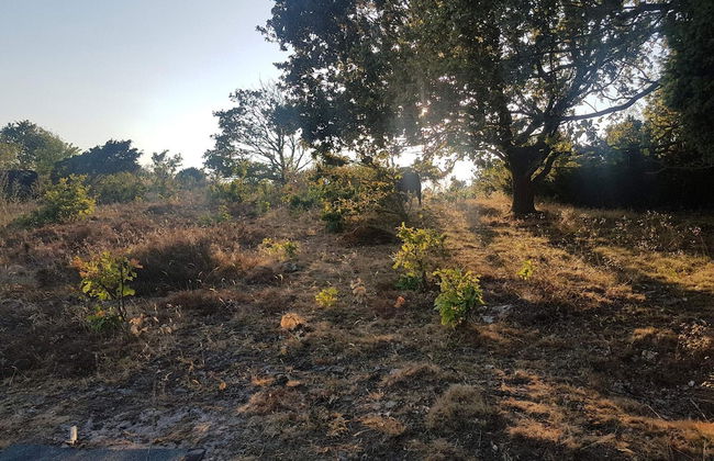 4 Person Holiday Home in Ebeltoft-by Traum - Foto 17