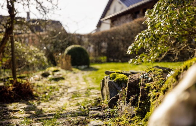 Holiday Home in Waxweiler in the Southern Eifel - Foto 37