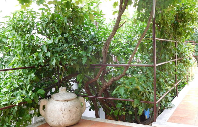 Apartments Ivancevic - Foto 62