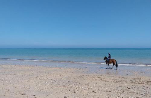 Gîtes de la Mouette L'Estran 8 à 9 personnes - Foto 20